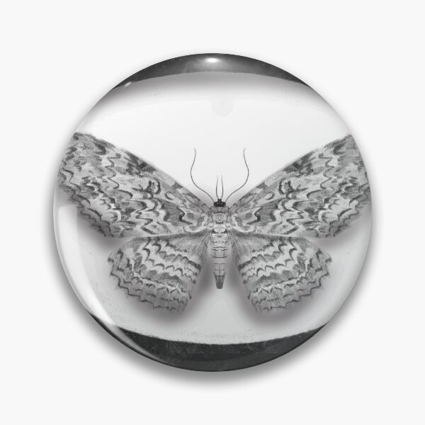 Item preview, Taxidermy Moth designed and sold by deliawayball.