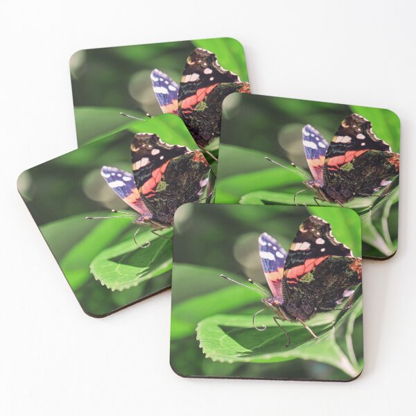 Item preview, Red Admiral designed and sold by Tom McPherson Photography.