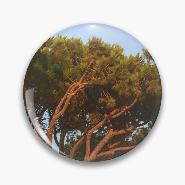Item preview, Italian Stone Pine at Sunset - Mediterranean Trees Nature Photography designed and sold by CarolinaReina.
