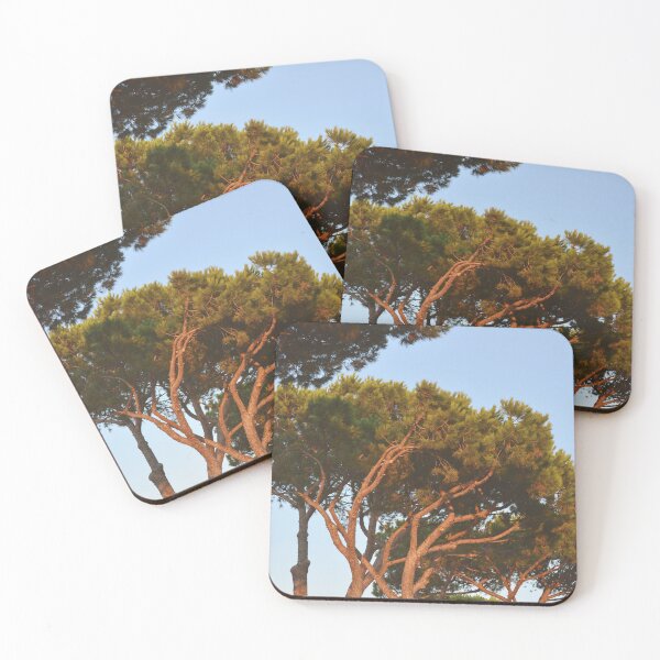Item preview, Italian Stone Pine at Sunset - Mediterranean Trees Nature Photography designed and sold by CarolinaReina.