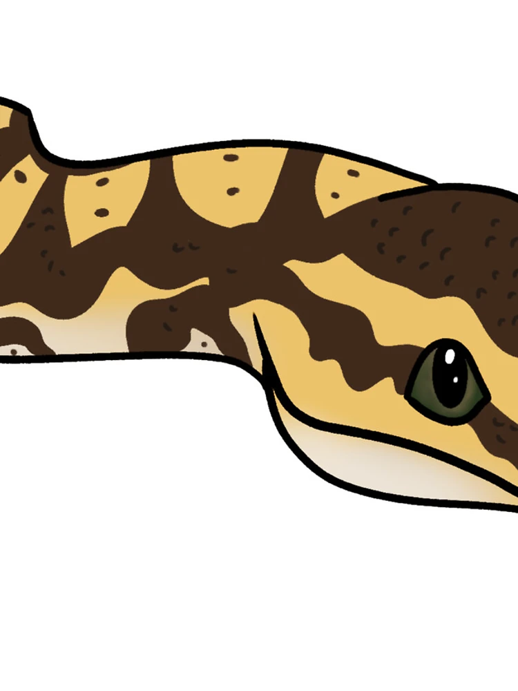 Thumbnail 4 of 4, iPhone Case, Ball Python designed and sold by PancakeDraws.