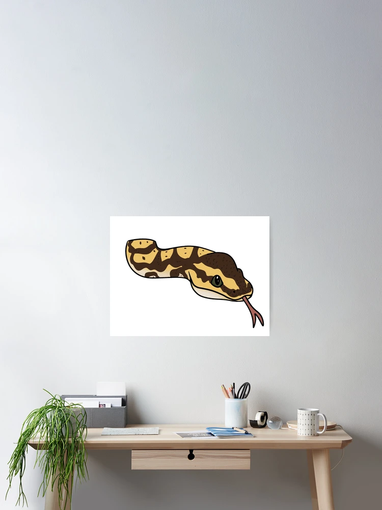 Imagen 2 de 3, Póster con la obra Ball Python, diseñada y vendida por PancakeDraws.