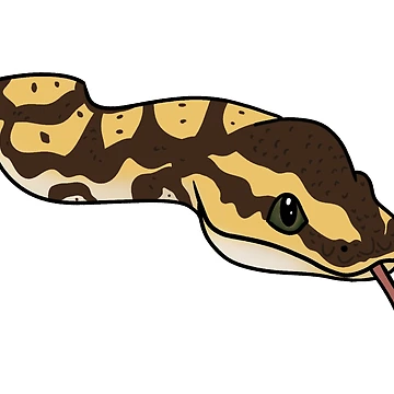 Artwork thumbnail, Ball Python by PancakeDraws