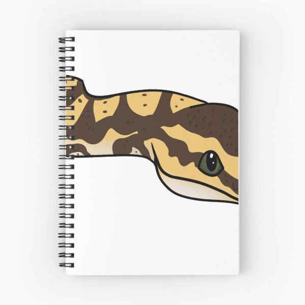 Item preview, Ball Python designed and sold by PancakeDraws.