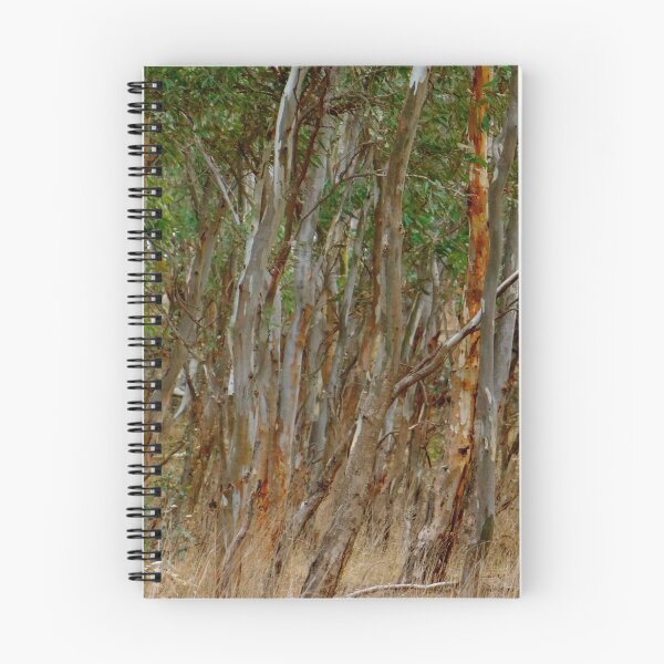 Item preview, Australian Tree Trunks in The Forest designed and sold by exploramum.