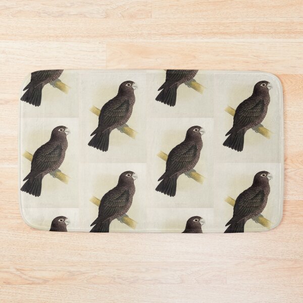 Item preview, Vasa Parrot Scientific Vintage Illustration designed and sold by Lacasadellora.