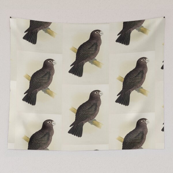 Item preview, Vasa Parrot Scientific Vintage Illustration designed and sold by Lacasadellora.