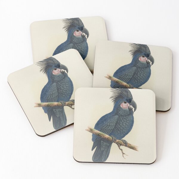Item preview, Black Cockatoo Parrot Scientific Vintage Illustration designed and sold by Lacasadellora.