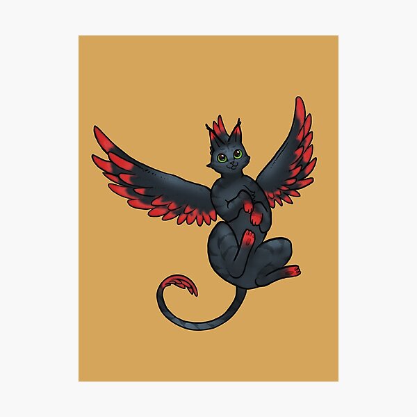 Phoenix Cat - Raven Photographic Print