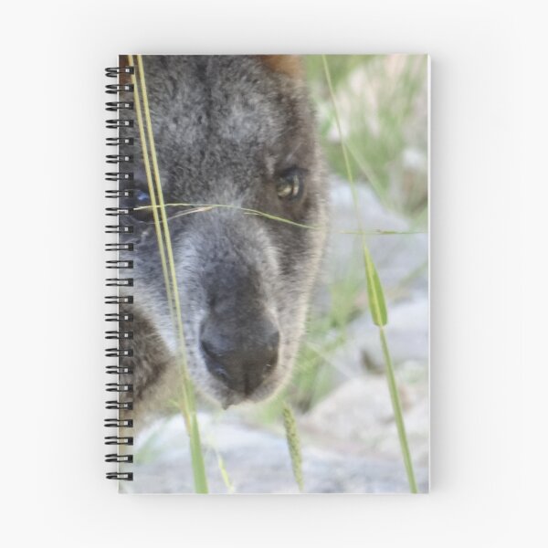 Item preview, I'm looking at you said the kangaroo designed and sold by exploramum.