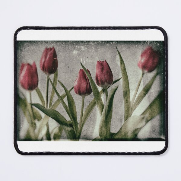 Item preview, Tulips designed and sold by Nigel R Bell Photography.