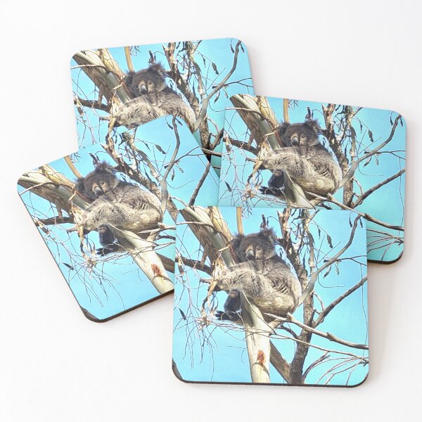 Item preview, koala, australia, australian animals, cute, marsupials, animals. designed and sold by Roslyn1978.