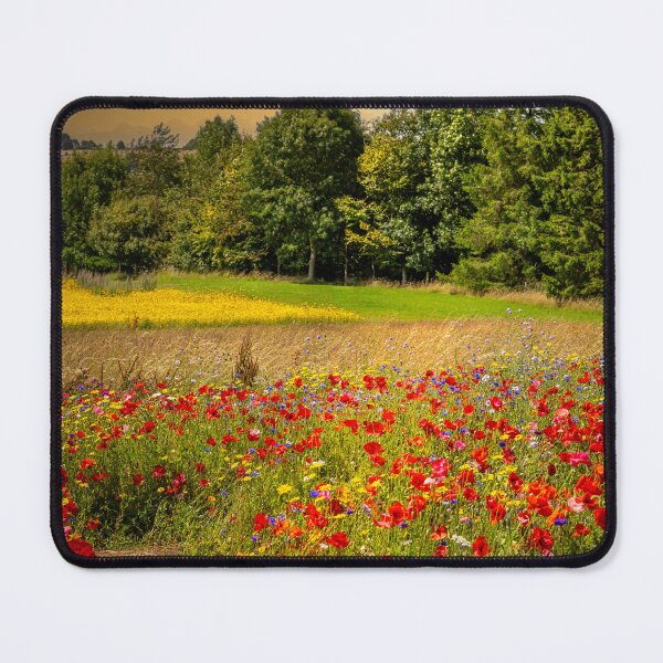 Item preview, Sunset Poppy Field designed and sold by StephenRphoto.