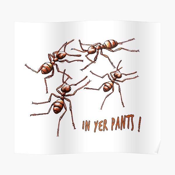 Ants in yer pants