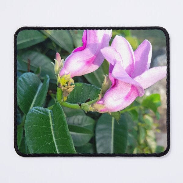 Item preview, A Close Up On Purple Flowers designed and sold by Rhia-Black.