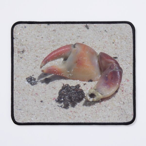 Item preview, Crab Claw on The Sand designed and sold by Rhia-Black.