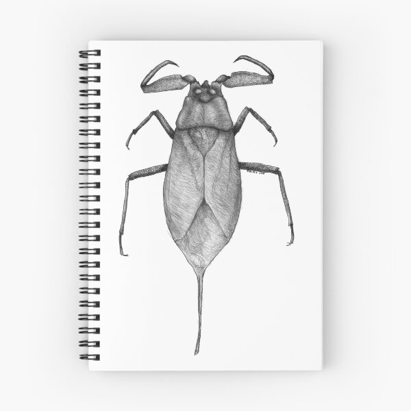 Item preview, Hemiptera Nepa cinerea designed and sold by Banan31.