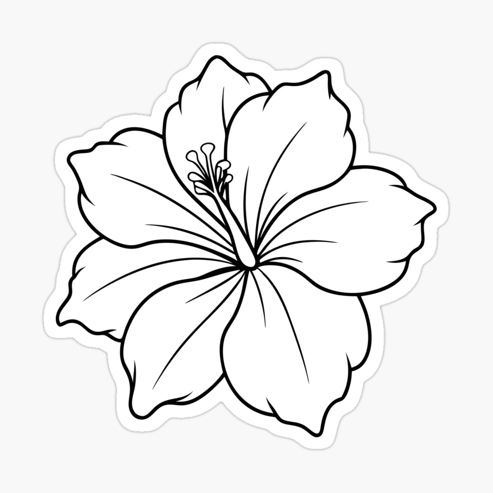 Hibiscus Flower  Poster