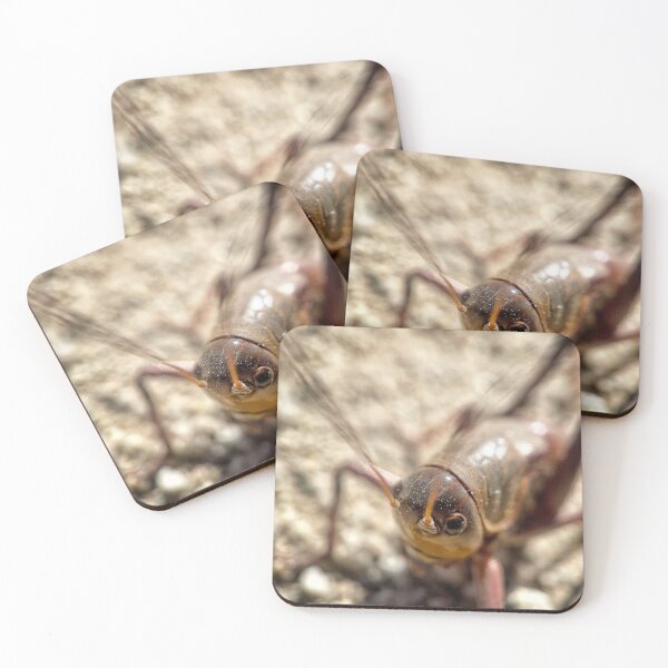 Item preview, Mormon Cricket Mug designed and sold by Jason Tompkins.
