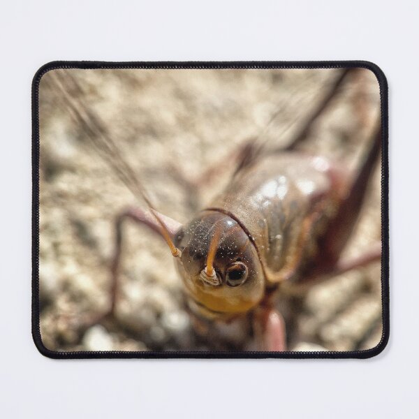 Item preview, Mormon Cricket Mug designed and sold by Jason Tompkins.
