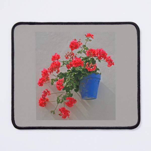 Item preview, Potted Geranium, Conil de la Frontera, May 2024 designed and sold by RedHillDigital.