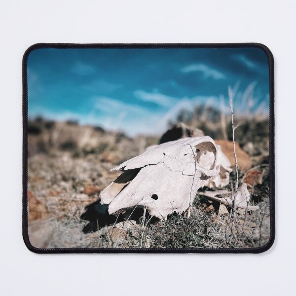 Item preview, Nice Try designed and sold by Jason Tompkins.