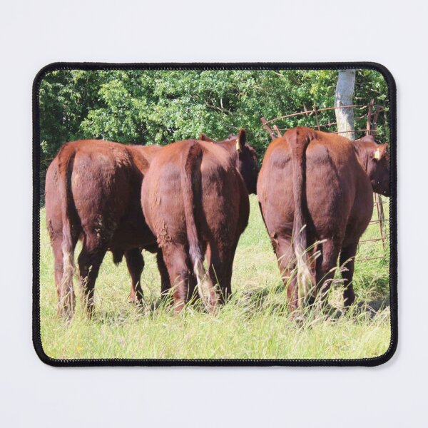 Item preview, Three cows!  designed and sold by AzraelsGaming.