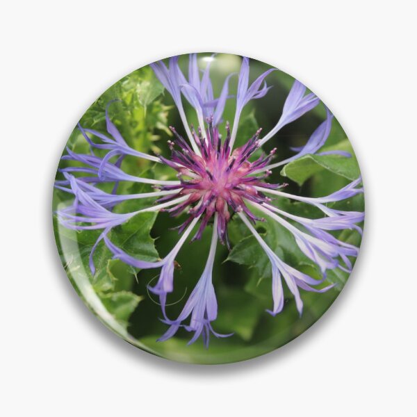 Item preview, Flower close up! designed and sold by AzraelsGaming.