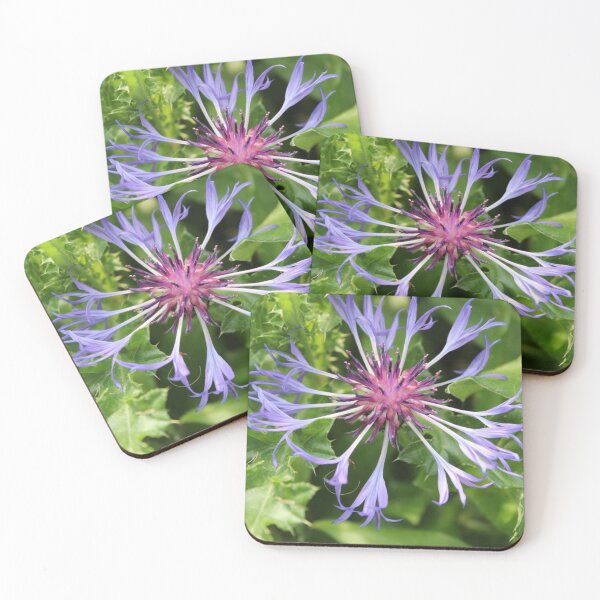Item preview, Flower close up! designed and sold by AzraelsGaming.