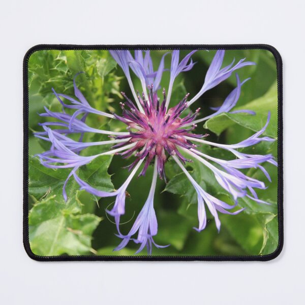 Item preview, Flower close up! designed and sold by AzraelsGaming.