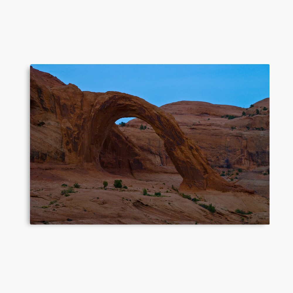 Looking East Canvas Print