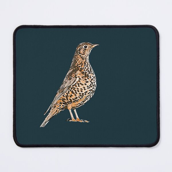 Item preview, Mistle Thrush White Alternate Design  designed and sold by designsasstultd.