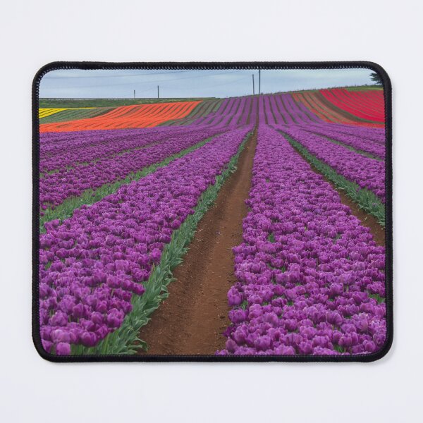 Item preview, Tulip Tracks in Tasmania designed and sold by TonyCrehan.