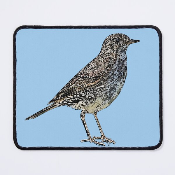Item preview, Meadow Pipit Black Alternate Design  designed and sold by designsasstultd.