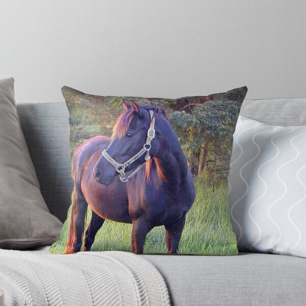 Item preview, "Enjoying The Fresh Spring Air and Warm Setting Sun" designed and sold by Melinda Stewart Page.