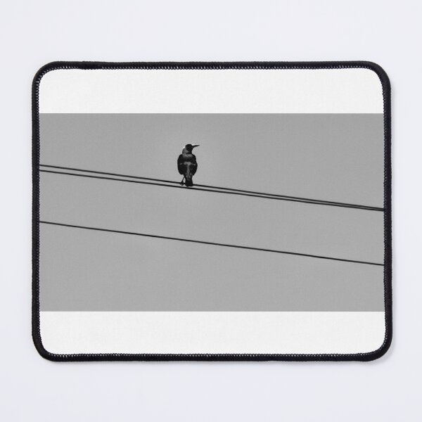 Item preview, Magpie on a wire designed and sold by Callum Morrison.