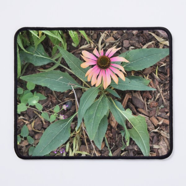 Item preview, Gorgeous Two-Toned Flower designed and sold by MangoSeeds.