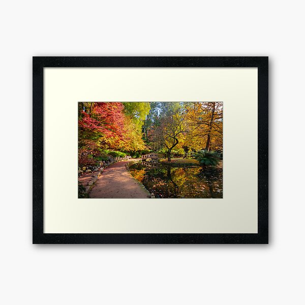 Item preview, Dandenong Ranges Autumn Colours #3 designed and sold by Chris Cobern.