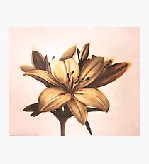 Simple Flower Photographic Print