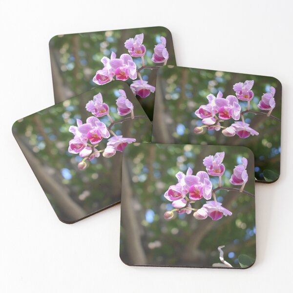 Item preview, An Orchid in the Rainforest - Crop designed and sold by MangoSeeds.