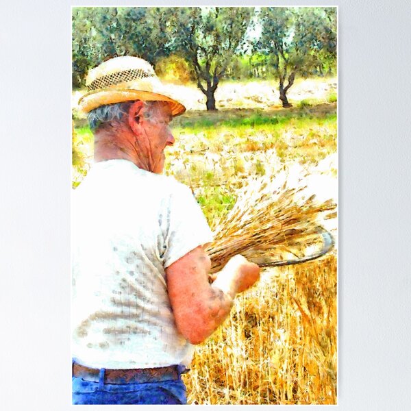 Banner-poster de cosecha de espigas de trigo secas foto 75x180cm