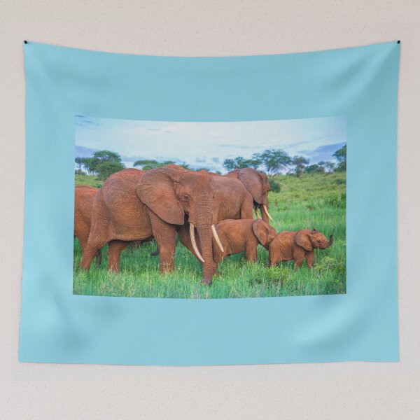 Item preview, Tanzania. Tarangire National Park. Elephants at Sunset. designed and sold by vadim19.