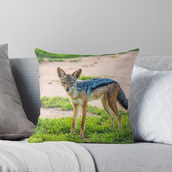 Item preview, Tanzania. Tarangire National Park. Jackal. designed and sold by vadim19.
