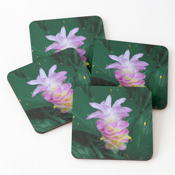 Item preview, Siam tulip or curcuma sessilis gage  designed and sold by wattchii1981.