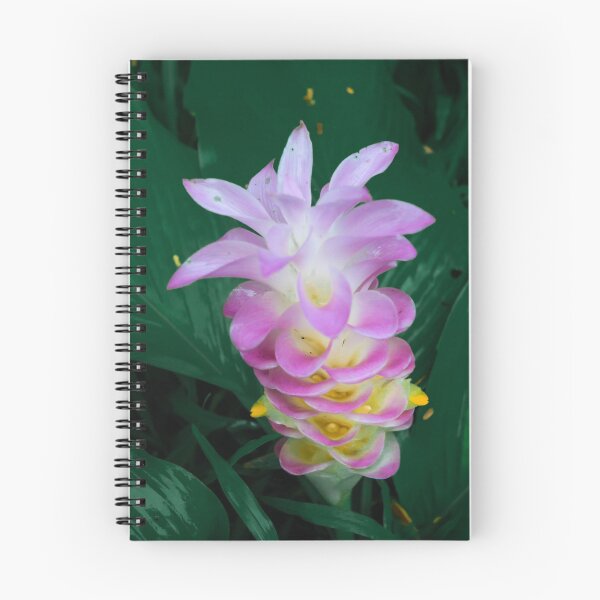 Item preview, Siam tulip or curcuma sessilis gage  designed and sold by wattchii1981.