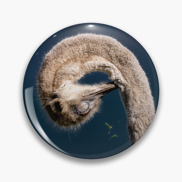 Item preview, Ostrich designed and sold by MyAfricanSafari.