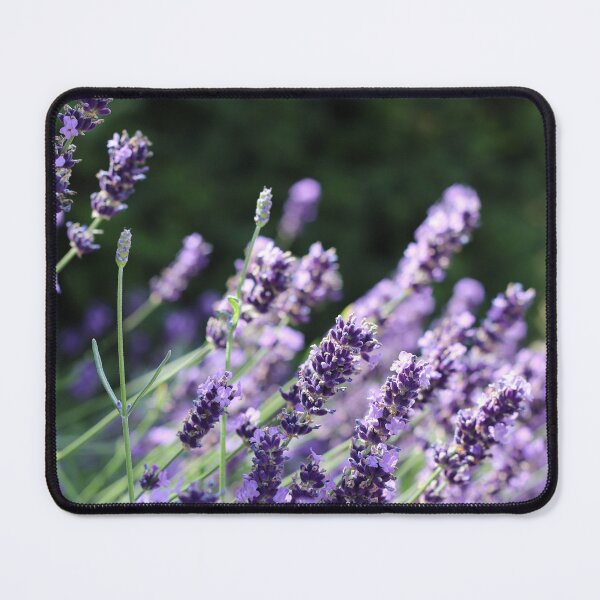 Item preview, Lavender Mist designed and sold by RT-FlowerShop.