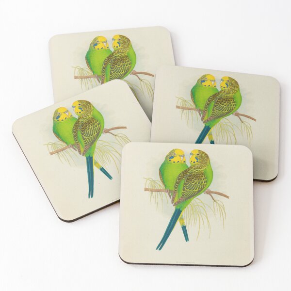 Item preview, Pair of Budgerigar Parrots Scientific Vintage Illustration designed and sold by Lacasadellora.
