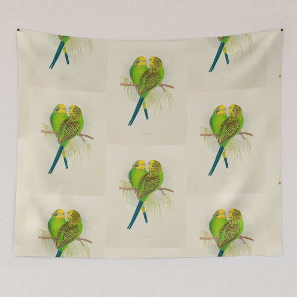Item preview, Pair of Budgerigar Parrots Scientific Vintage Illustration designed and sold by Lacasadellora.