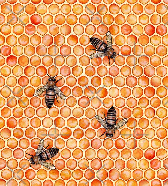 Honeycomb and bees pattern by savousepate | Redbubble